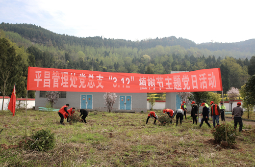 D:\叶正茂\Desktop\平昌管理处党总支组织开展“3.12”植树节主题党日活动活动1_副本.jpg