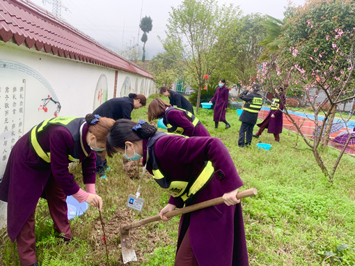 收费站植树节宣传报道图片