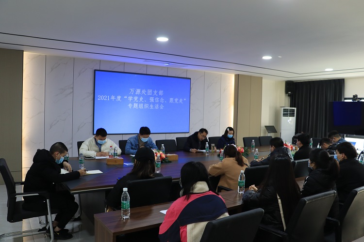 学党史强信念跟党走组织生活会.JPG