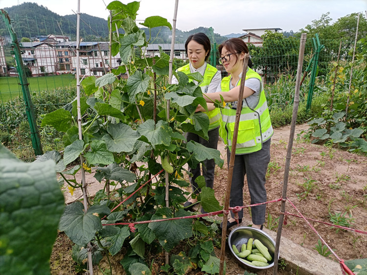 开江站“喜获丰收、温暖人心图片_副本.jpg