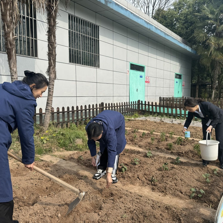 七里收费站扎实推进“三园建设”助力春耕生产.jpg